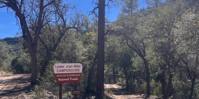 Camper submitted image from Lower Juan Miller Campground