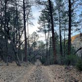 Review photo of Lower Juan Miller Campground by anna A., March 4, 2026