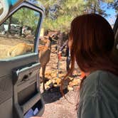 Review photo of Mather Campground — Grand Canyon National Park by Hunter H., August 7, 2024