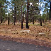 Review photo of Mather Campground — Grand Canyon National Park by Kenneth B., August 17, 2026