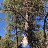 Review photo of Mather Campground — Grand Canyon National Park by Stacy M., March 27, 2024