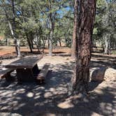 Review photo of Mather Campground — Grand Canyon National Park by Jo Ann F., June 5, 2026