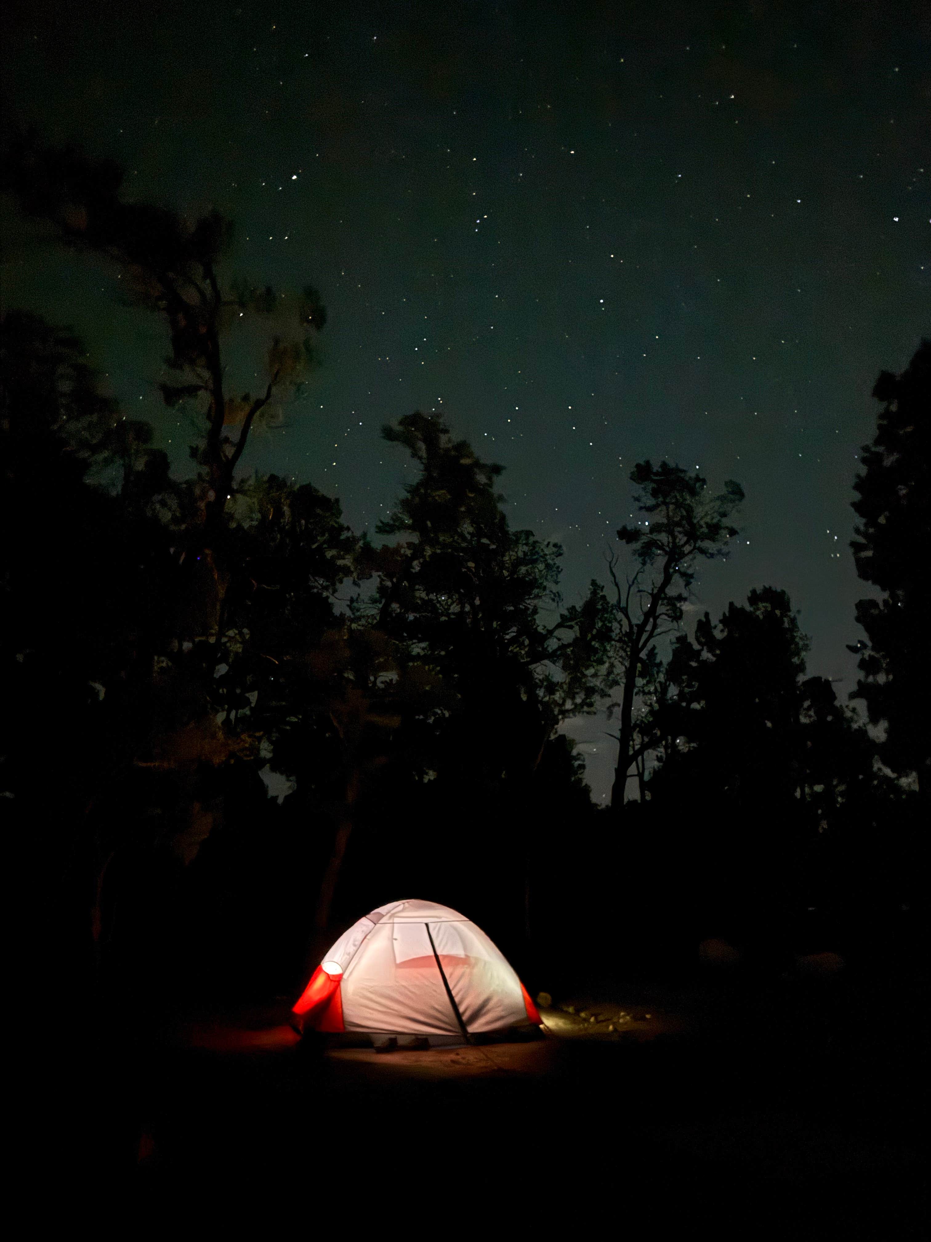 Natalie  G.'s photo at Mather Campground — Grand Canyon National Park near Grand Canyon National Park