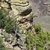 Review photo of Mather Campground — Grand Canyon National Park by Roger W., May 10, 2025