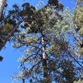 Review photo of Mather Campground — Grand Canyon National Park by Jo Ann F., June 5, 2026