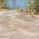 Review photo of Mittry Lake Wildlife Area by Richard D., March 19, 2026