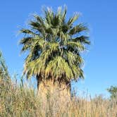 Review photo of Mittry Lake Wildlife Area by Richard D., March 19, 2026