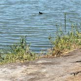 Review photo of Mittry Lake Wildlife Area by Richard D., March 19, 2026