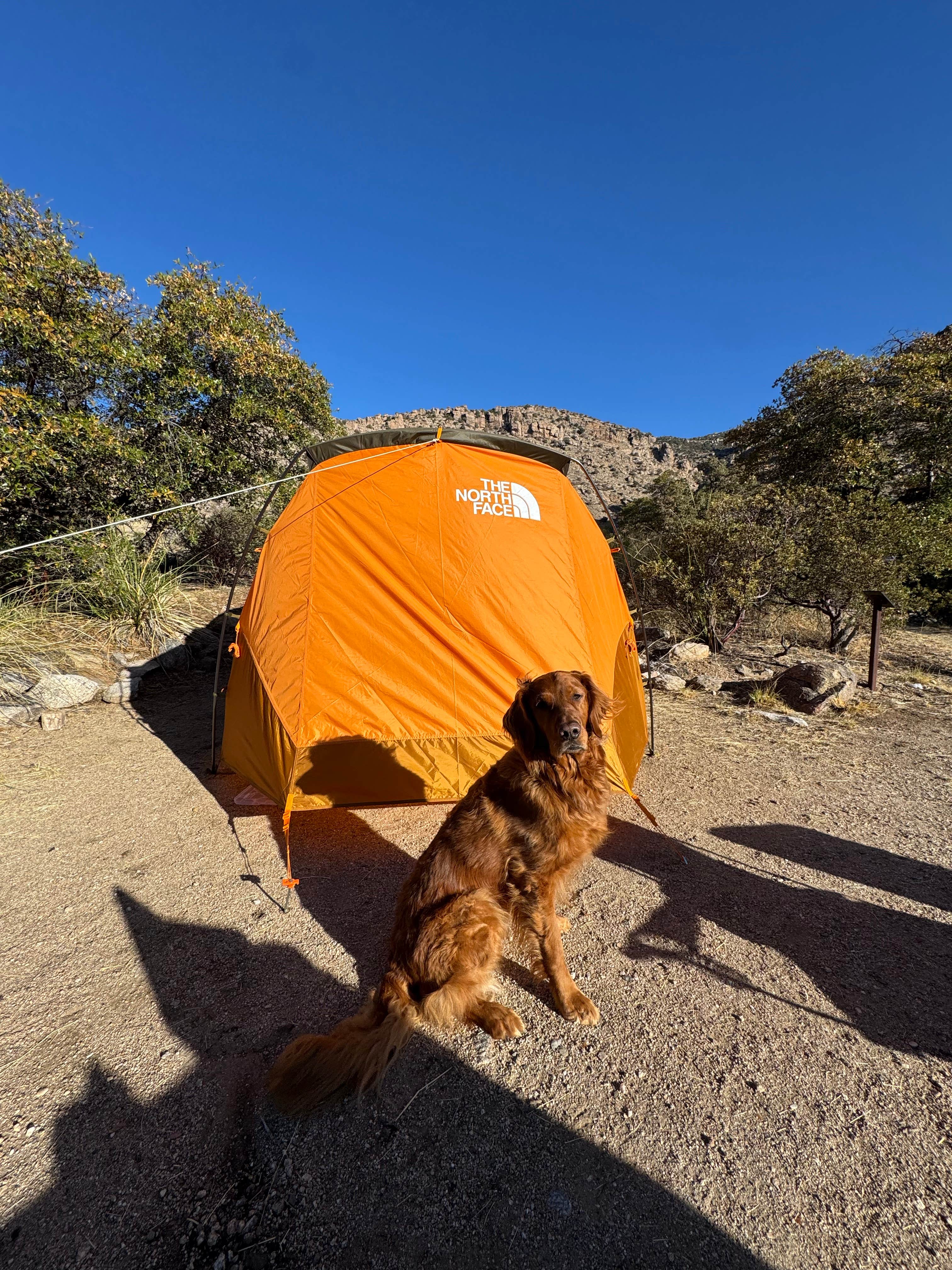 Caitlyn B.'s photo at Molino Basin Campground near Tucson, AZ