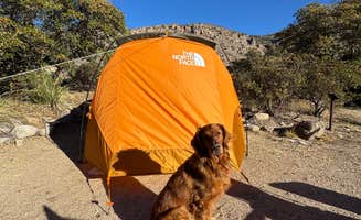 Caitlyn B.'s photo at Molino Basin Campground near Tucson, AZ