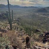 Review photo of Peralta Canyon / Gold Canyon Dispersed Camping - PERMANENTLY CLOSED by Scott K., January 30, 2024