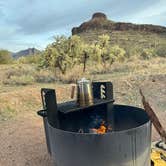 Review photo of Peralta Canyon / Gold Canyon Dispersed Camping - PERMANENTLY CLOSED by Scott K., January 30, 2024