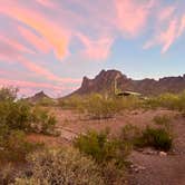 Review photo of Picacho Peak State Park Campground by Mary O., April 10, 2026