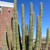 Review photo of Picacho Peak State Park Campground by Joel R., March 28, 2024