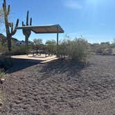 Review photo of Picacho Peak State Park Campground by adrienne T., March 19, 2026