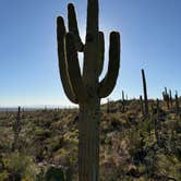 Review photo of Picacho Peak State Park Campground by Thamar D., March 13, 2026