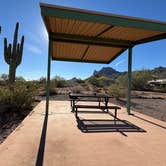 Review photo of Picacho Peak State Park Campground by adrienne T., March 19, 2026
