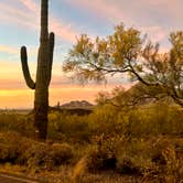 Review photo of Picacho Peak State Park Campground by Mary O., April 10, 2026