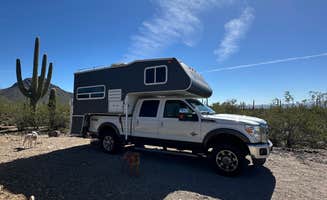 Hannah T.'s photo of camping with pets at Gilbert Ray Campground near Catalina, AZ