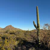 Review photo of Gilbert Ray Campground by John & Amy M., March 5, 2026