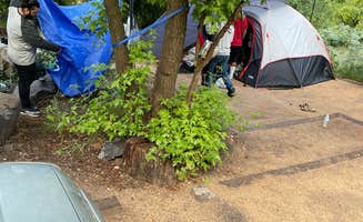 Manuel R.'s photo at Pine Flat Campground West near Munds Park, AZ