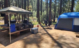 Emily C.'s photo at Pine Flat Campground West near Munds Park, AZ