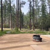 Review photo of Pine Flat Campground West by Someshwara D., May 1, 2025