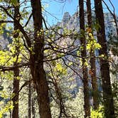Review photo of Pine Flat Campground West by Jerry C., May 28, 2025