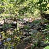 Review photo of Pine Flat Campground West by Emily C., August 10, 2026