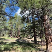 Review photo of Pinegrove Campground by Ted M., May 4, 2026