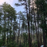 Review photo of Ponderosa Campground (AZ) Tonto National Forest by Donna V., May 24, 2022