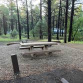 Review photo of Potato Patch Campground by Michael , September 14, 2023