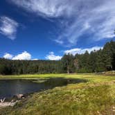 Review photo of Riggs Flat Campground by Eleanore L., July 14, 2026