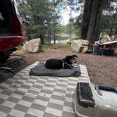 Review photo of Riggs Flat Campground by Eleanore L., July 14, 2026