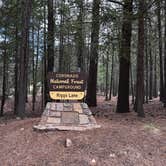 Review photo of Riggs Flat Campground by Eleanore L., July 14, 2026