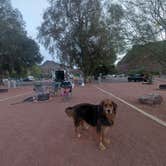 Review photo of River Island State Park Campground by Claire W., April 10, 2026