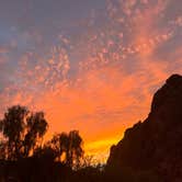 Review photo of River Island State Park Campground by Eric W., January 9, 2026