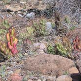 Review photo of Riverview Campground by Becky , March 17, 2026