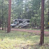 Review photo of Rolfe C. Hoyer Campground by mark F., August 5, 2024