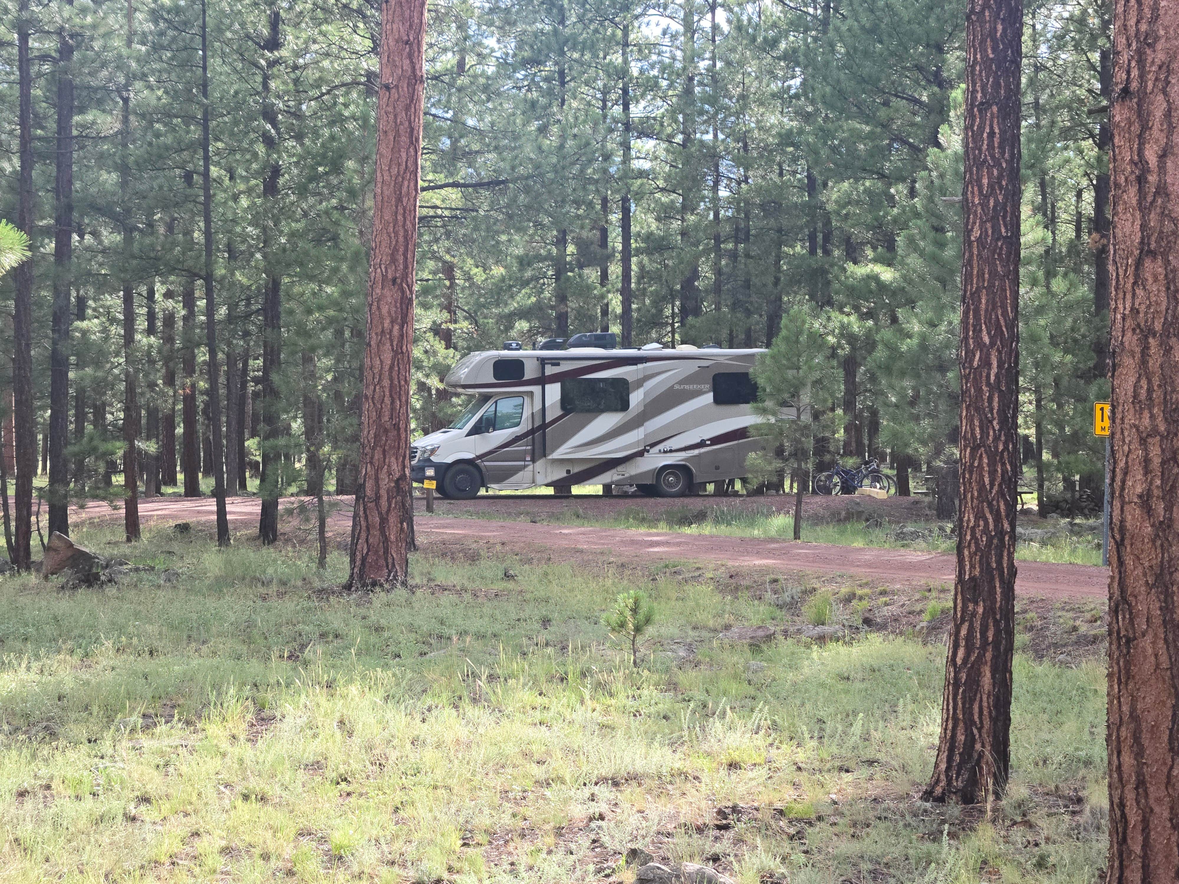 Camper submitted image from Rolfe C. Hoyer Campground - 1