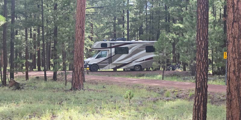 Camper submitted image from Rolfe C. Hoyer Campground