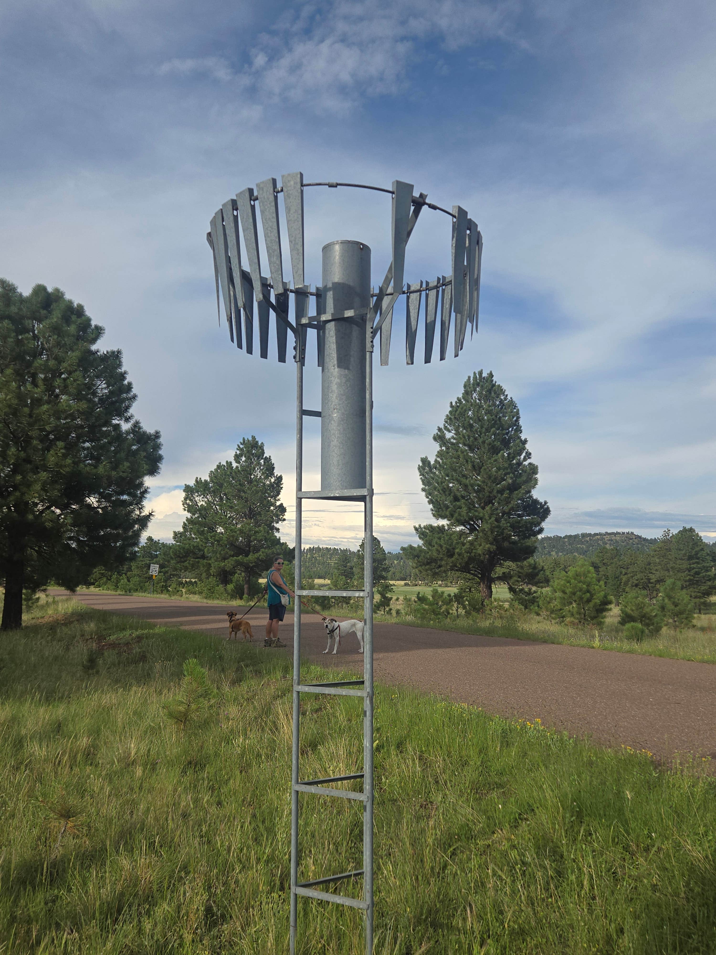 Camper-submitted photo at Rolfe C. Hoyer Campground near Eagar, AZ