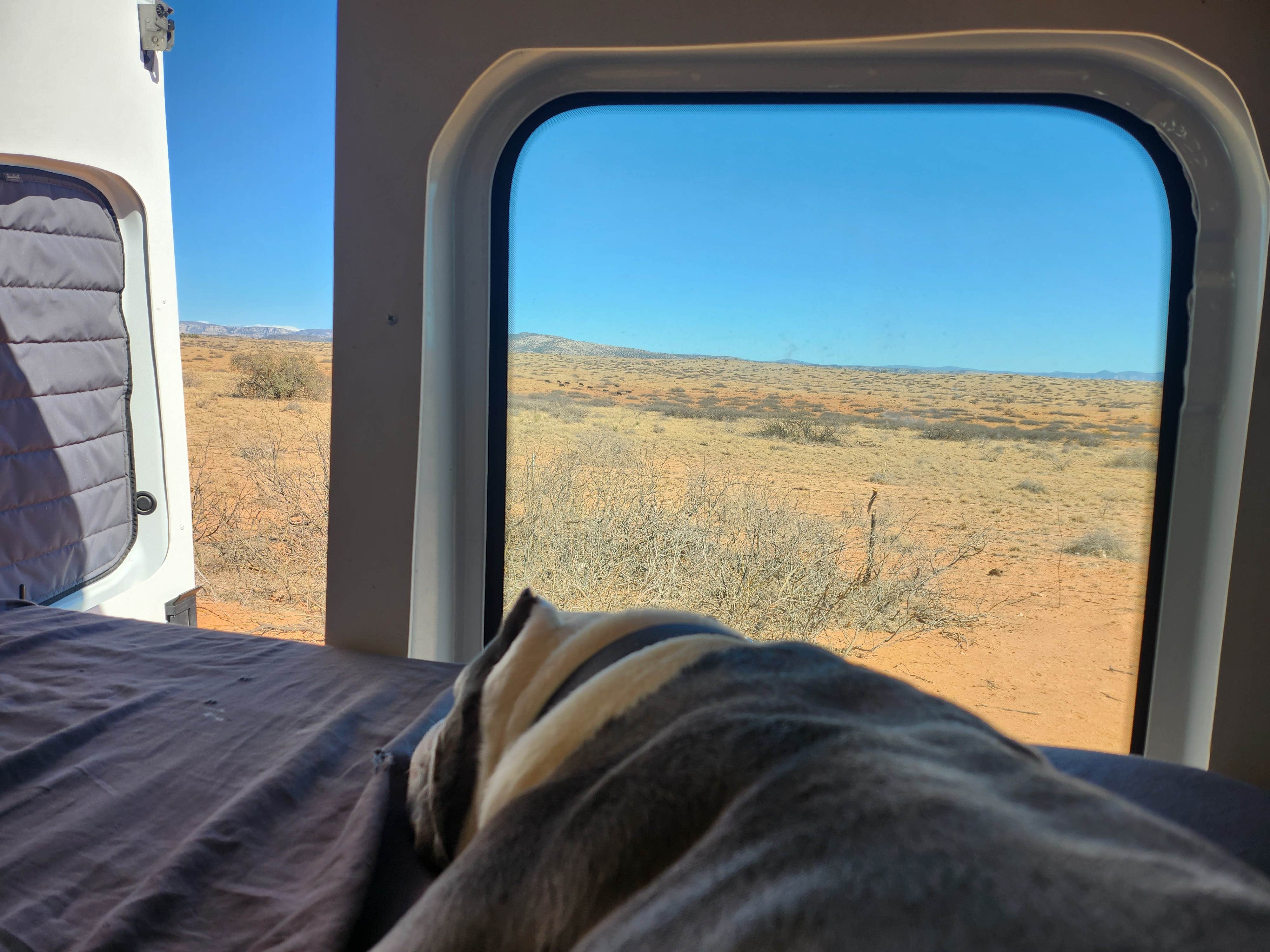 Camper-submitted photo at Arizona State Trust Land FSR 761 Dispersed near Cottonwood, AZ