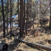 Review photo of Strayhorse Campground by Vidalia S., February 5, 2026