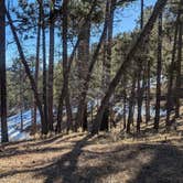 Review photo of Strayhorse Campground by Vidalia S., February 5, 2026