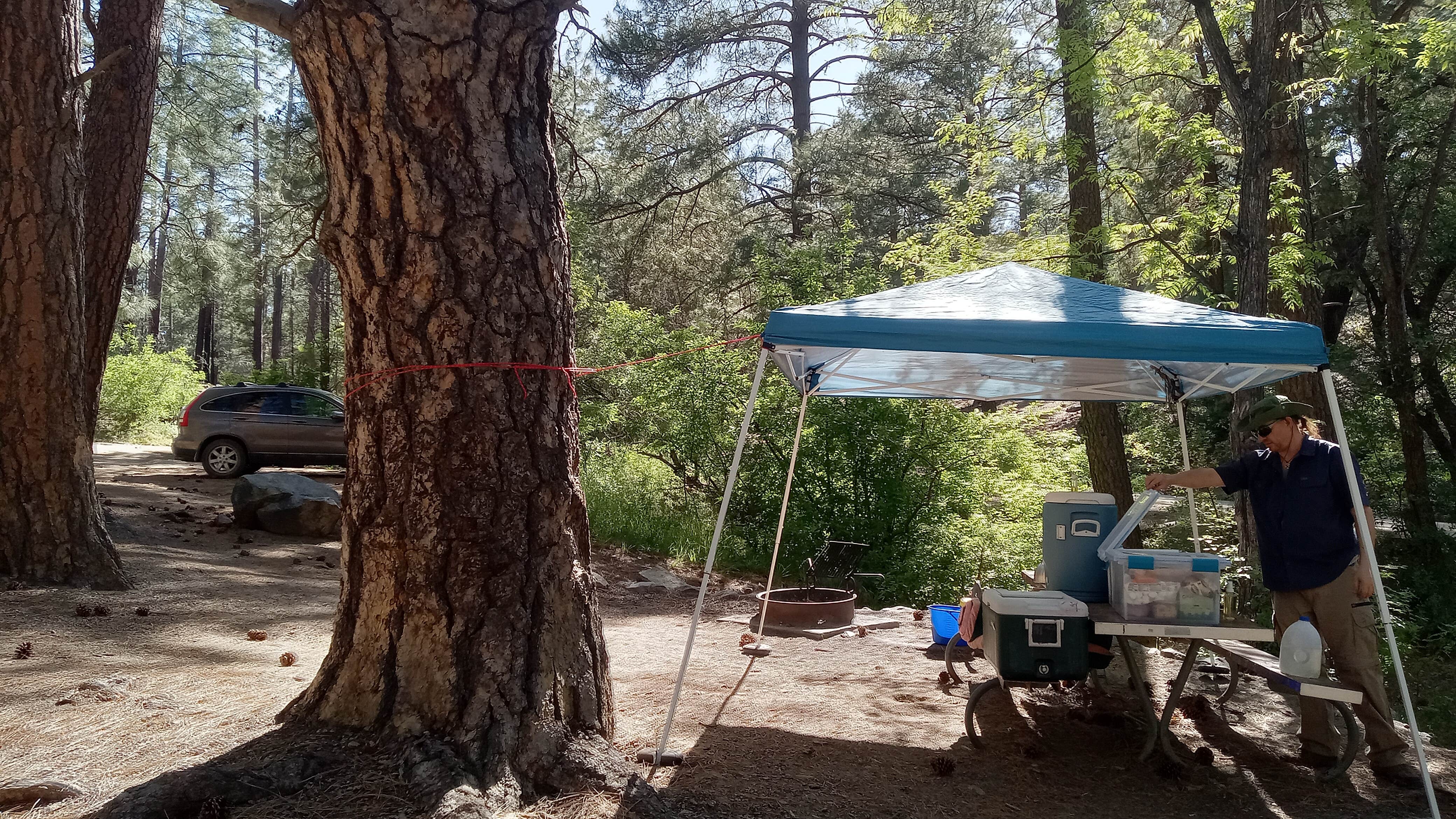 Camper submitted image from Sulphide Del Rey Campground - 1