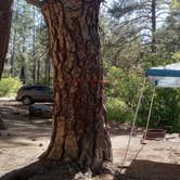 Review photo of Sulphide Del Rey Campground by Rachel W., May 28, 2024