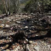 Review photo of Sunny Flat Campground by Rhonda , March 22, 2026