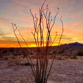 Review photo of Swansea Ghost Town by Jeffrey F., January 28, 2024