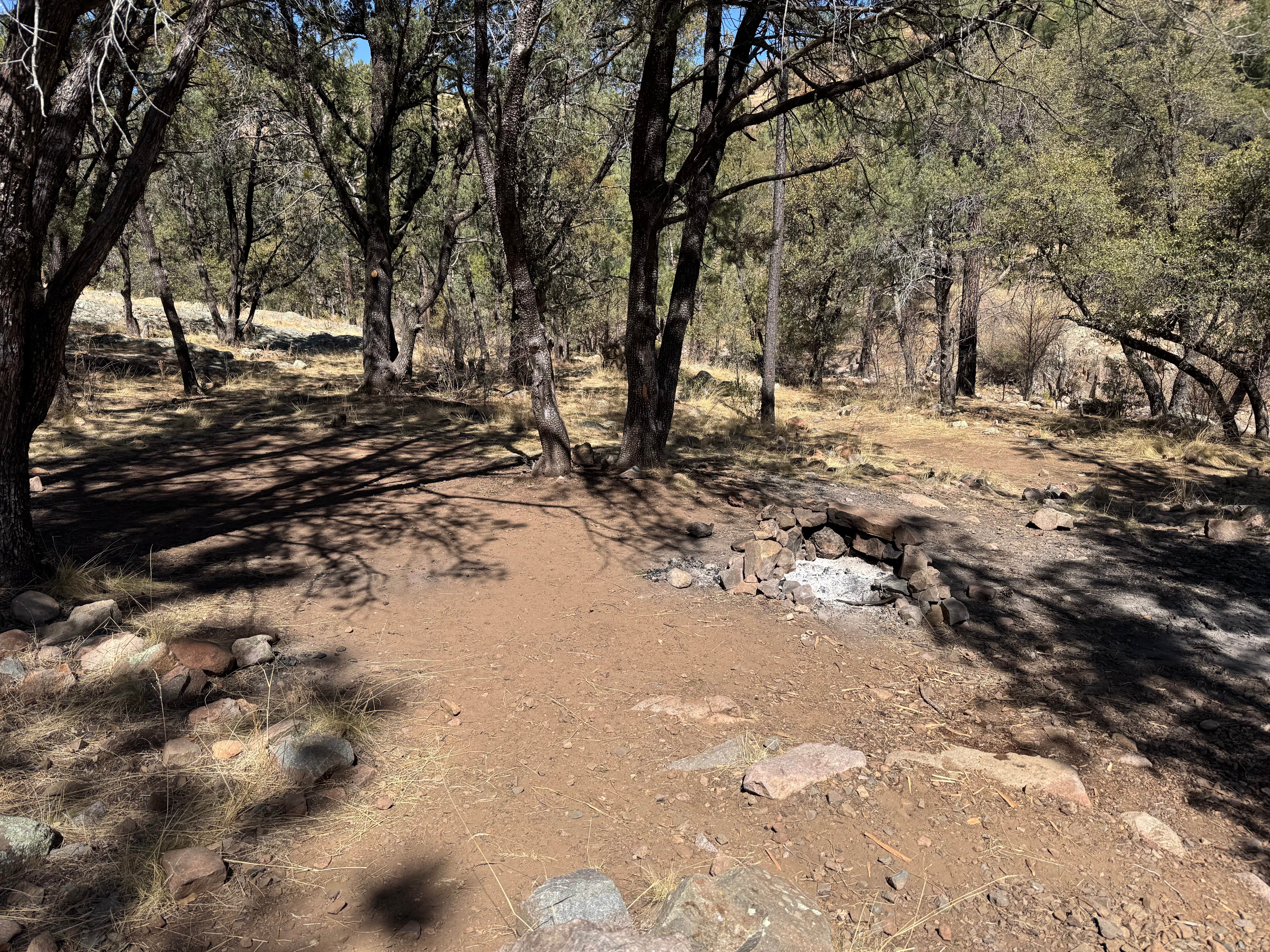 Camper-submitted photo at Sycamore Campground near Animas, NM